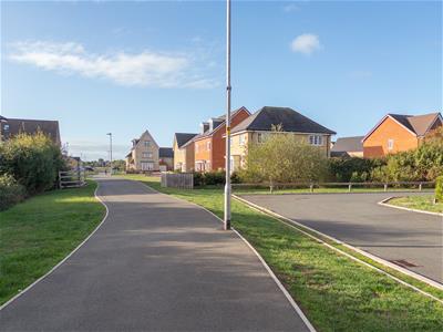 Picture 19
